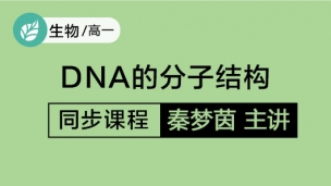 DNA的分子结构